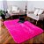Tapete Felpudo Pink Antiderrapante para Sala e Quarto – 2,00 x 3,00 m - Imagem 1