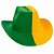 Chapéu Cowboy Country Brasil Verde e Amarelo Torcida Seleção Brasileira Copa do Mundo Jogos Olímpicos Desfile 7 de Setembro Festa das Nações - Imagem 1