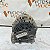 ALTERNADOR RENAULT CLIO LOGAN SANDERO 1.0 16V 2015 CODIGO RENAULT 231007440R - Imagem 2
