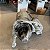 MOTOR ARRANQUE HYUNDAI HB20 1.6 16V 2014 MANUAL - Imagem 4