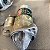 MOTOR ARRANQUE HYUNDAI TUCSON 2.0 16V 2008 AUTOMATICO - Imagem 3