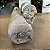 MOTOR ARRANQUE FORD ESCORT HOBBY 1.0 CHT 1993 - Imagem 3