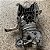 TAMPA FRONTAL MOTOR FIAT ARGO MOBI UNO 1.0 3CC FIREFLY 2020 - Imagem 5