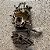 TAMPA FRONTAL MOTOR FIAT ARGO MOBI UNO 1.0 3CC FIREFLY 2018 - Imagem 2