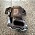 CATALISADOR HONDA CITY 1.5 16V 2023 - Imagem 2