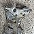 TAMPA FRONTAL MOTOR NISSAN KICKS 1.6 16V 2020 - Imagem 2