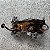 TAMPA FRONTAL MOTOR FIAT ARGO MOBI UNO 1.0 3CC FIREFLY 2019 - Imagem 3