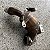 CATALISADOR CHEVROLET ONIX 1.0 TURBO 2020 - Imagem 3