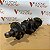 VIRABREQUIM VOLKWAGEN GOL 1.0 16V 2000 MEDIDA 0,25 - Imagem 4