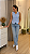 Colete Alfaiataria Lina - Imagem 8