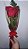 Buquê de rosas - Imagem 4