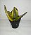 Mini espada de Santa Bárbara - Imagem 3