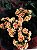 Calanchoe e calandiva pote 11 - Imagem 8