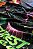 LENÇO FOREST CLUB - Imagem 4