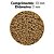 RACAO POYTARA CARPA CRESCIMENTO  700G (BAG) - Imagem 3