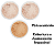 Pó Playboy Translúcido Facial Ultra Fina Acabamento Impecável e Natural - Imagem 3