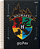 CADERNO ESPIRAL UNIVERSITÁRIO  96FLS HARRY POTTER  JANDAIA - Imagem 1