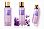 Shimmer Body Splash Love Spell 250m l Original - Imagem 2