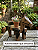 Banco De Cavalo Puff Animais Decorativo Assento Madeira Mesinha Infantil - Imagem 6