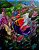 Guilherme de Faria - Fantasia Floral nº 1 - óleo sobre tela 2018, 50x40cm - Imagem 1