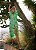 Vestido Zara Verde Claro Estampa Longo - Imagem 16