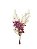 Encanto - Arranjo Flor Desidratada - Imagem 7