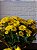Vaso de Mini Margarida Amarela com Ferrero Rocher 04 Unidades - Imagem 2