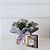 Caixa White Heart - Margaridas e  Ferrero Rocher 04 Und - Imagem 1