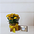 Caixa Yellow Heart - Mini Margarida com Ferrero Rocher - Imagem 1