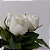 Love White Roses no Vidro - Imagem 2