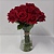 Amor de 24 Rosas Vermelhas no Vidro - Imagem 1