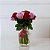 Chamego Duas Cores - 12 Rosas - Imagem 1