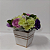 Box Charming Lisianthus Coloridas - Imagem 1