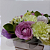 Box Charming Lisianthus Coloridas - Imagem 2