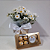 Box Charming Margaridas Brancas - Imagem 1