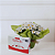 Mini Margarida com Raffaello - Imagem 1