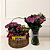Kit Chamego de Rosas Rosas - Imagem 1