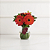 Sutileza de Gerberas Laranjas - Imagem 1