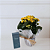 Kit Natura e Flores - Kalanchoe Amarela e Desodorante - Imagem 1