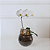 Orquídea Phalaenopsis Branca no Vidro com Chocolate - Imagem 3