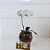 Orquídea Phalaenopsis Branca no Vidro com Chocolate - Imagem 2
