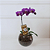 Orquídea Phalaenopsis Lilas no Vidro com Chocolate - Imagem 3