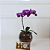 Orquídea Phalaenopsis Lilas no Vidro com Chocolate - Imagem 2