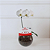 Orquídea Phalaenopsis no Vidro com Raffaello - Imagem 2