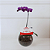 Orquídea Phalaenopsis no Vidro com Raffaello - Imagem 1