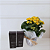 Kit Natura e Flores - Kalanchoe e Creme e Pós Barba - Imagem 2