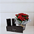 Kit Natura e Flores - Kalanchoe e Natura Essencial - Imagem 1