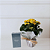 Kit Natura e Flores - Kalanchoe e Perfume - Imagem 1