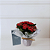 Kit Natura e Flores - Kalanchoe e Perfume - Imagem 2