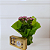 Vaso Kalanchoe Rosa com Chocolate - Imagem 2